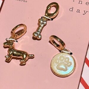 Charms for a Charm Necklace / Bracelet Bundle 1 necklace & 2 charm boxes for $20